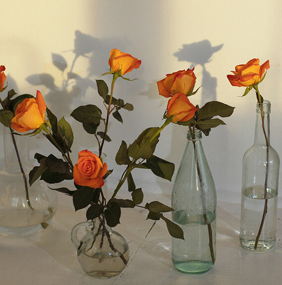 Rosenvand opskrift - set i glas