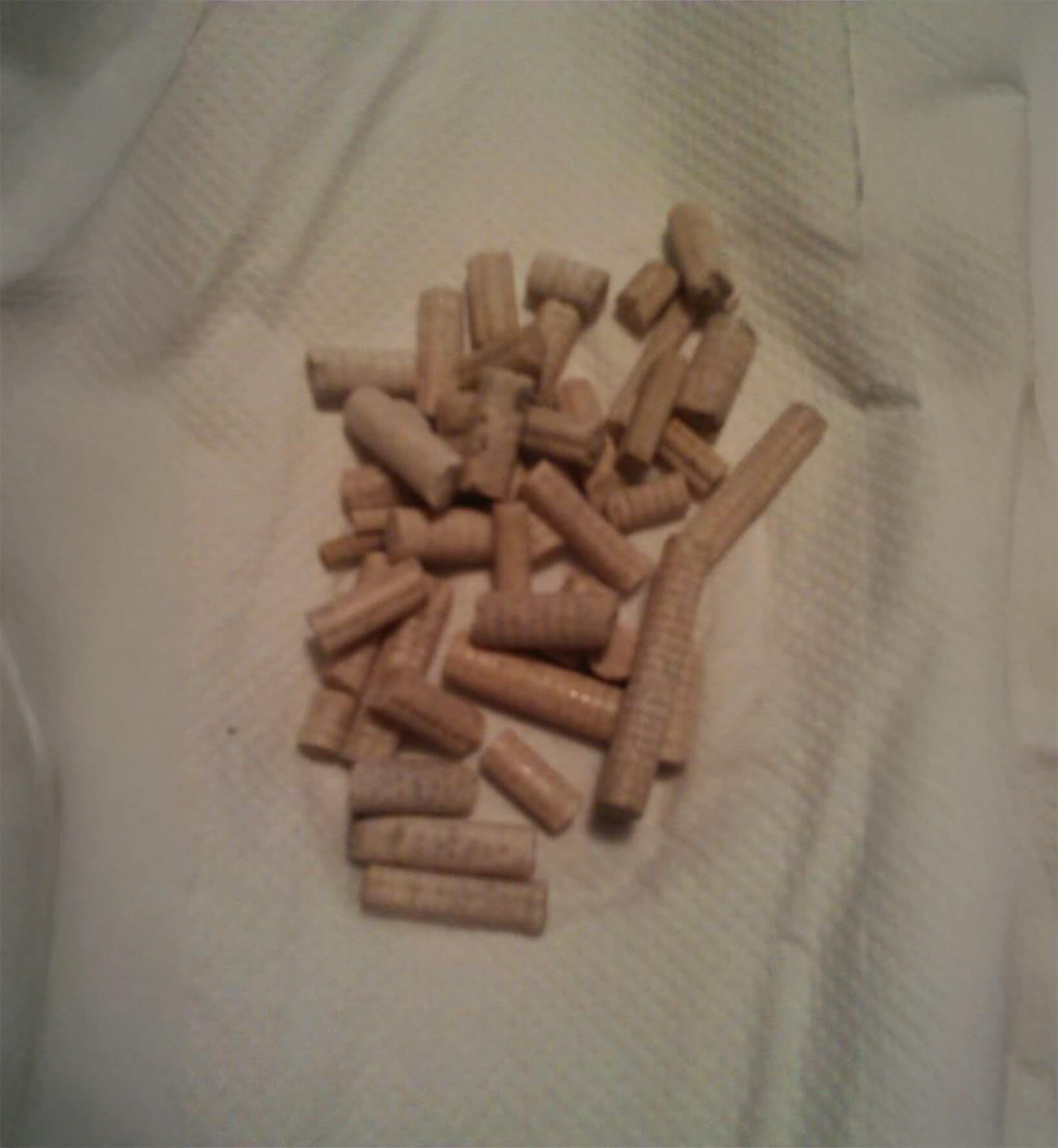 fossiler-i-danmark-paa-papir